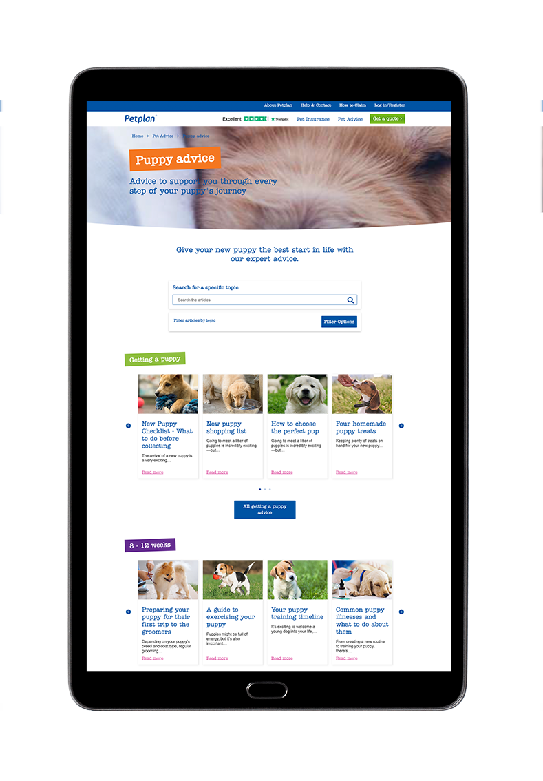 Petplan newsletter in action, on a tablet
