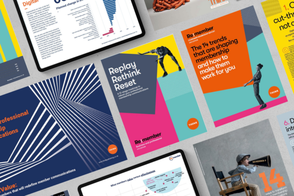 Previous versions of Re:member research