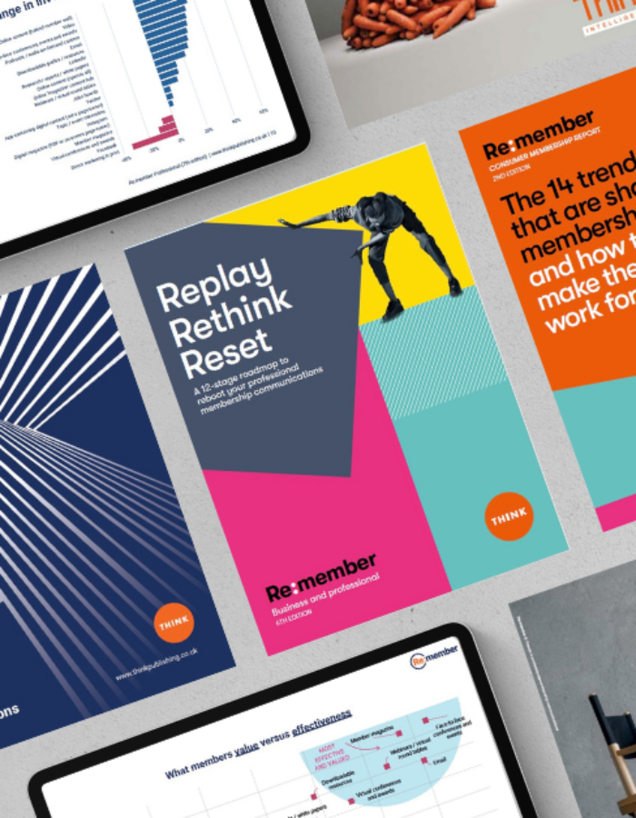 Previous versions of Re:member research