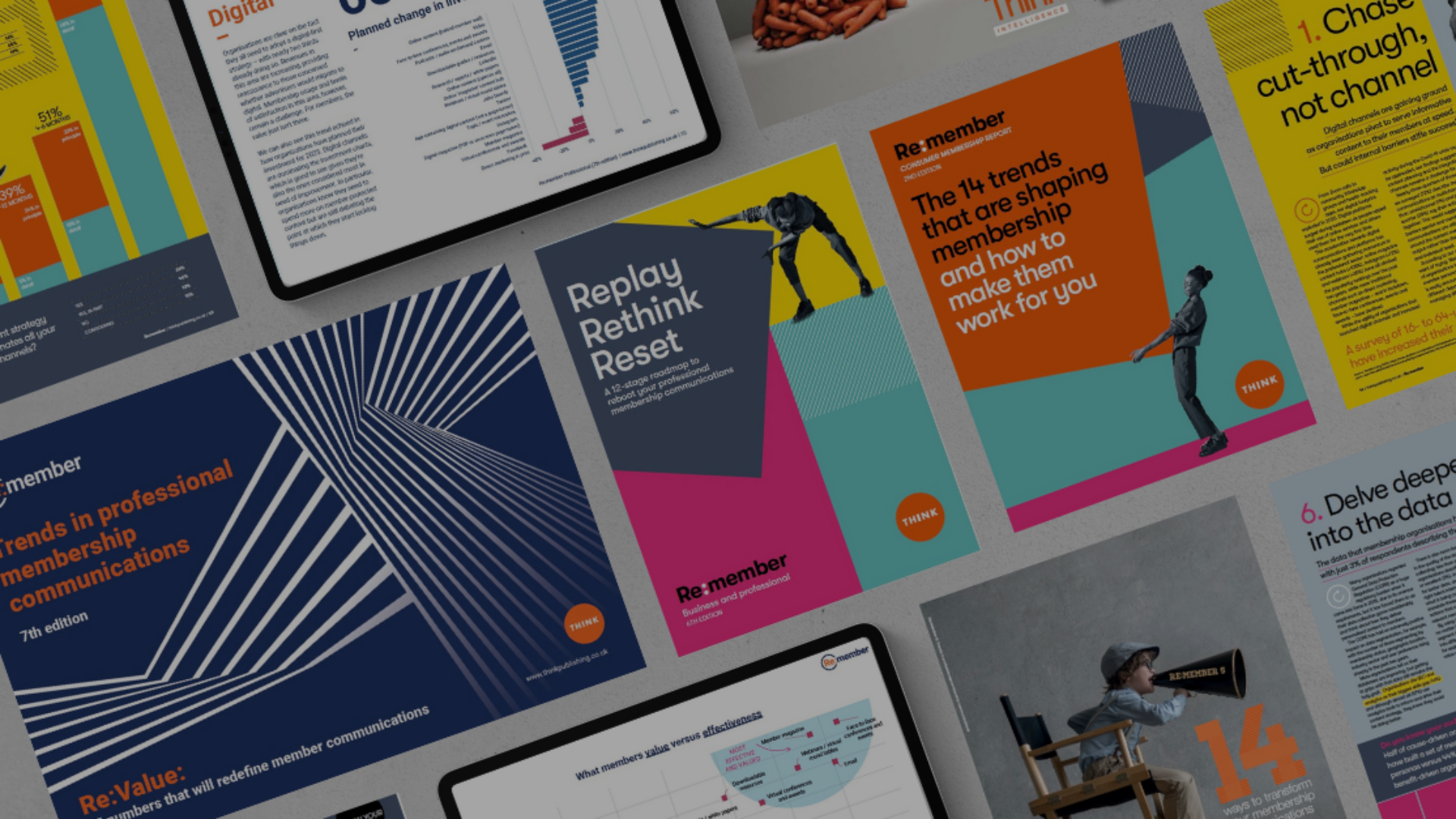 Previous versions of Re:member research